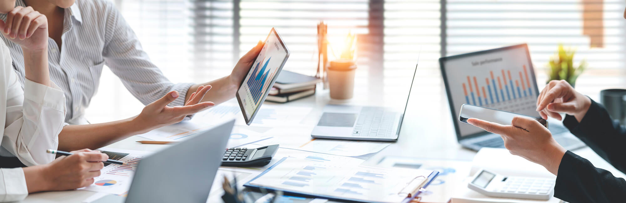 header sezione Studi Specialistici